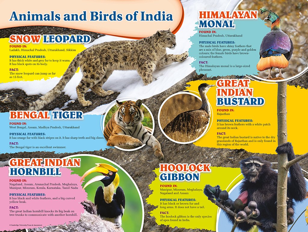 Poster 7 — Poster by Indrajit Mukherjee